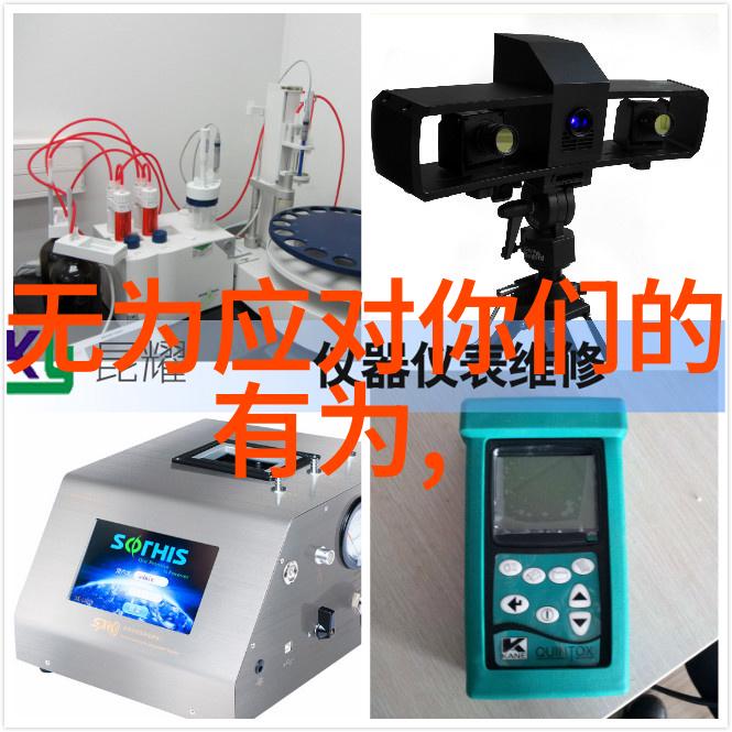 宋代道家代表人物的精神遗产与现代社会价值探究
