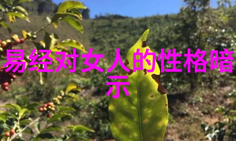 超脱尘世现代高人如何实现精神解脱