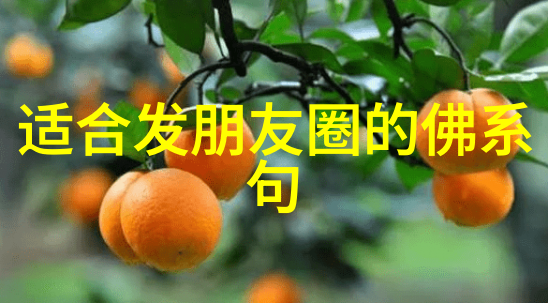 探索道教修行之路心灵的归宿与内在的修炼