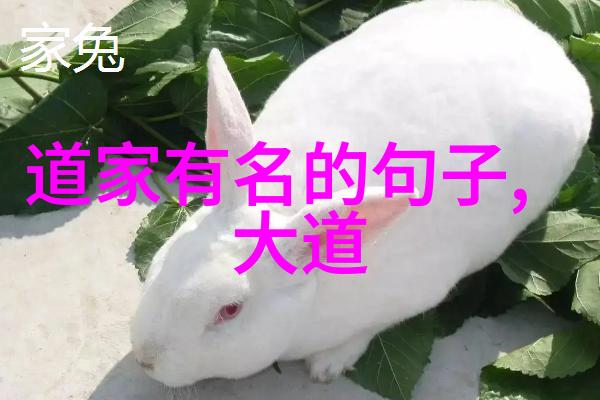 道教哲学探究从神秘到现代的认知演变