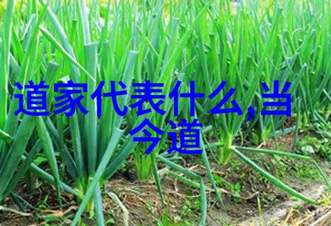 追踪周易中乾坤一气对混元咐影响的情形