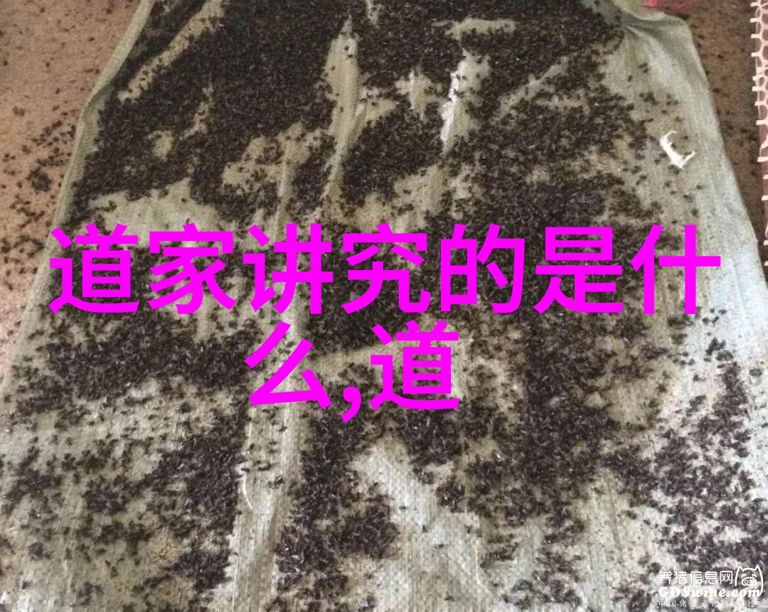 实干为要出处 - 创新实践开辟成果之路的不懈追求