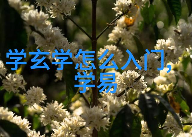 道家的巅峰之作如何看待道德经中的神话人物