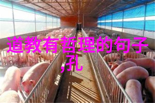 古老智慧中的秘密之谜道德经的未解之谜