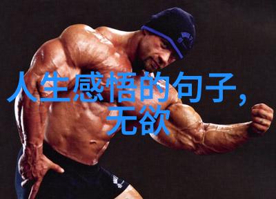 道家人物排行榜天人合一的智者之榜