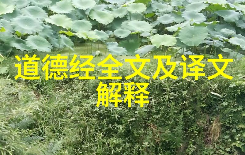 道德经中的无为而治理论及其对当代管理学的启示