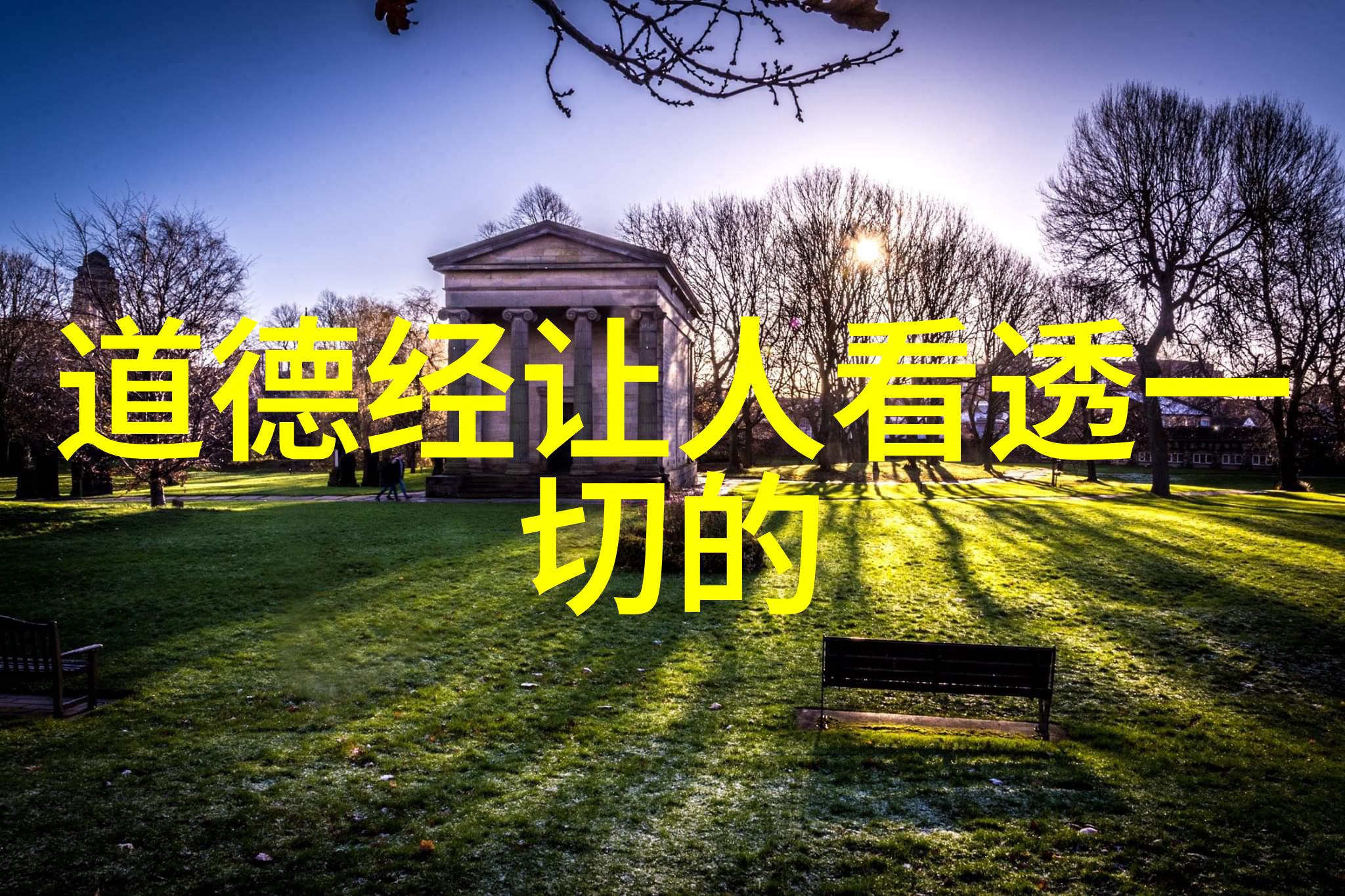 老子道德经我的智者之旅