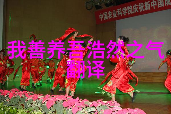 玄学我是怎么从迷失中找到方向的