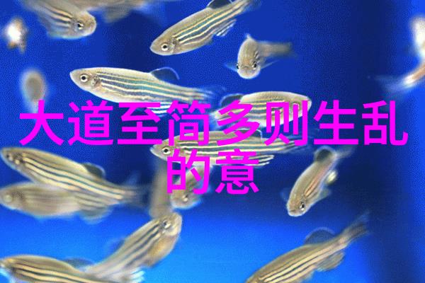 道家文化中的智者与修士探索古代道教人物的精神面貌