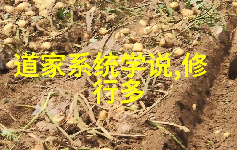 道士的修行与终身承诺探索中国传统文化中的道士职业生涯