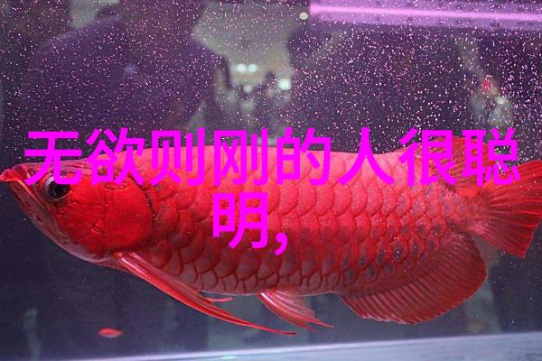 个性签名句子的力量在于其简单还是深刻的内涵