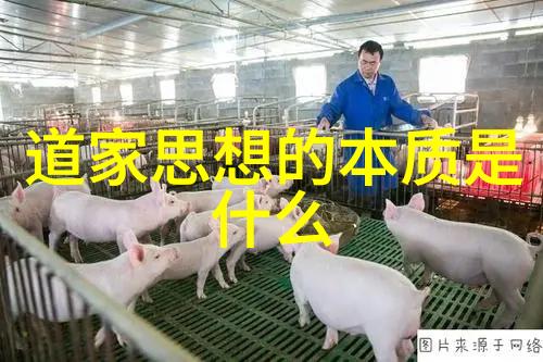 老子无为而无不为的哲学深度解析道家智慧的运作原则