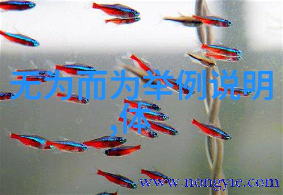 八字解秘天生修行者有何缘由