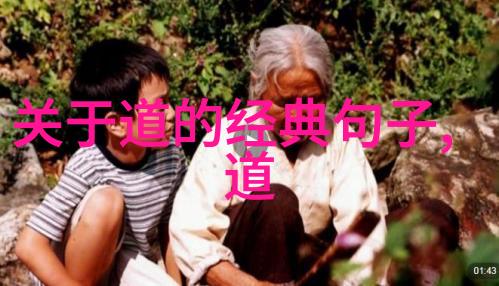 探秘兰亭序硬笔书法字帖的艺术与魅力