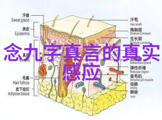 街头霸王的荣耀与悲剧