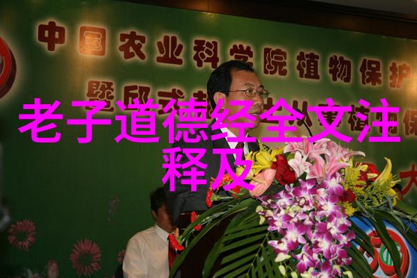 超越世俗喧嚣的无为之境人生至高点的探索
