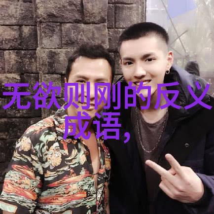 抖音最火古风文案探秘那些让你无法抗拒的古风金句