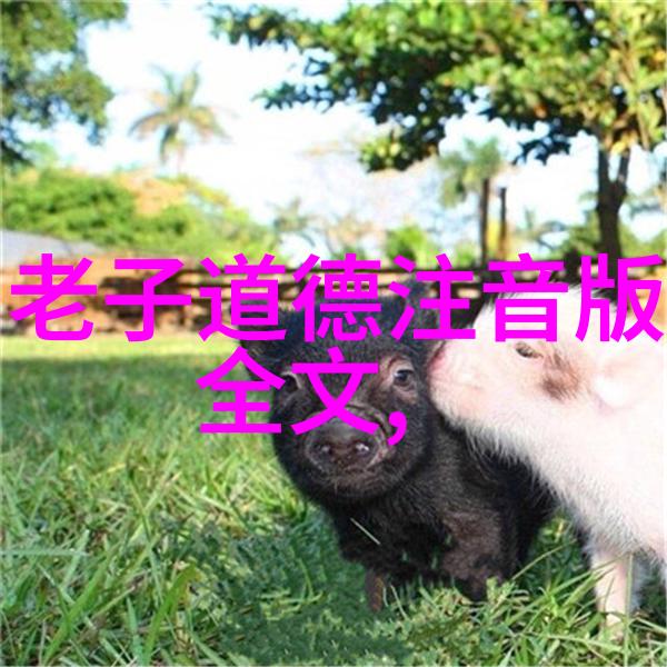 大道至简的艺术探究深入理解大道至简的哲学与实践