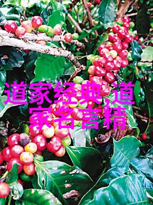 道教神仙体系源流与发展