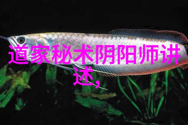 道家传承人物道家文化的精髓守护者