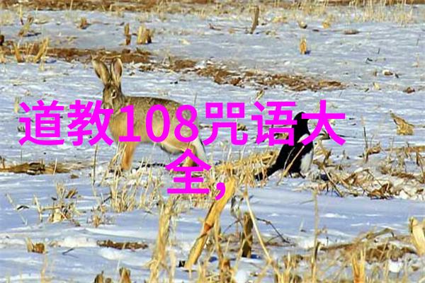 老子道德经1至54章老子的智慧从自然规律到人生哲学