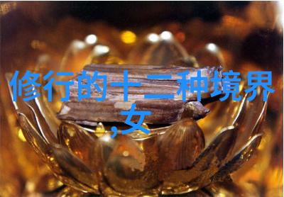 老子与我通过道德经探索内心真理