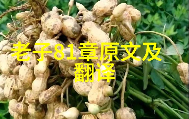 行书艺术的流畅之美书画作品中的笔触灵动