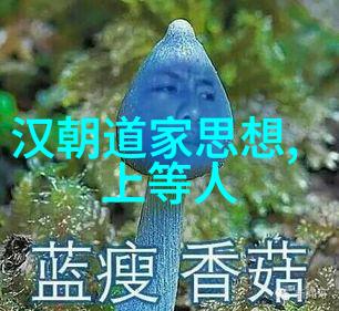 郭店铜器中发现的老子简本有哪些历史和文化意义