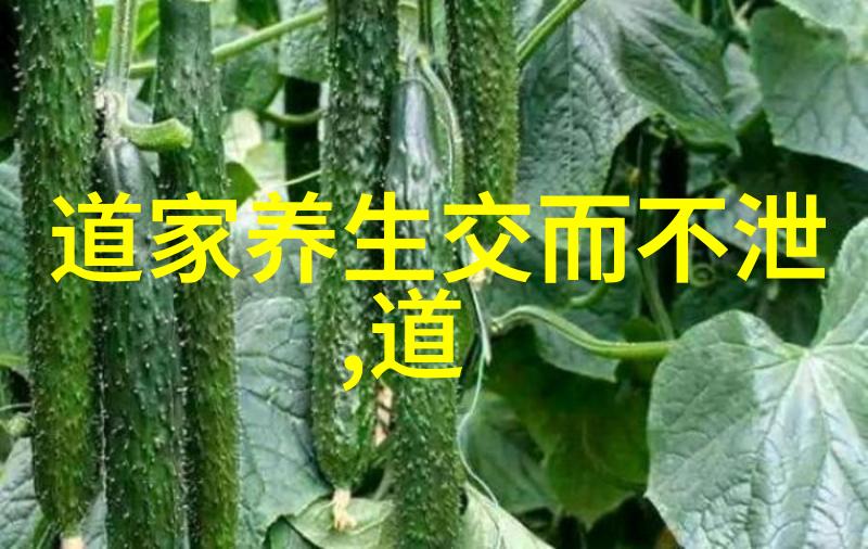 灵性探索女人开悟后的身体特征光芒背后的内在变化