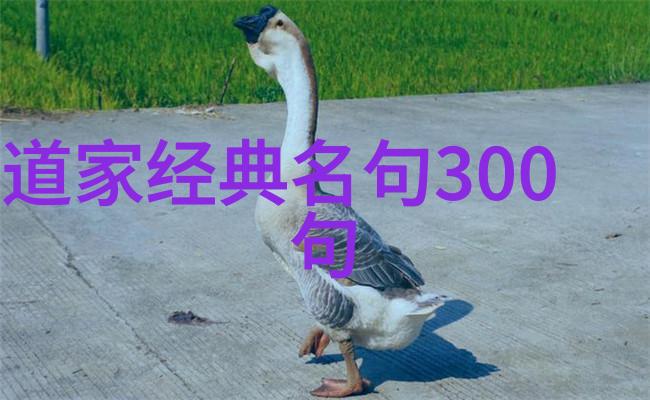在日常生活中我们是否有意识地体现了无为的智慧