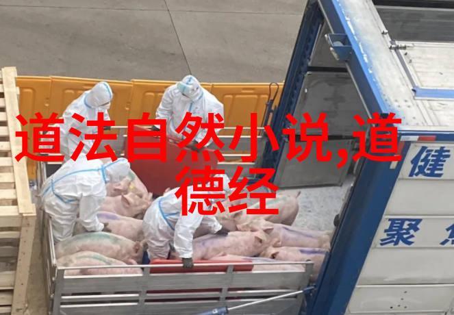 哲学探索-老子智慧无为而治的艺术与生活实践