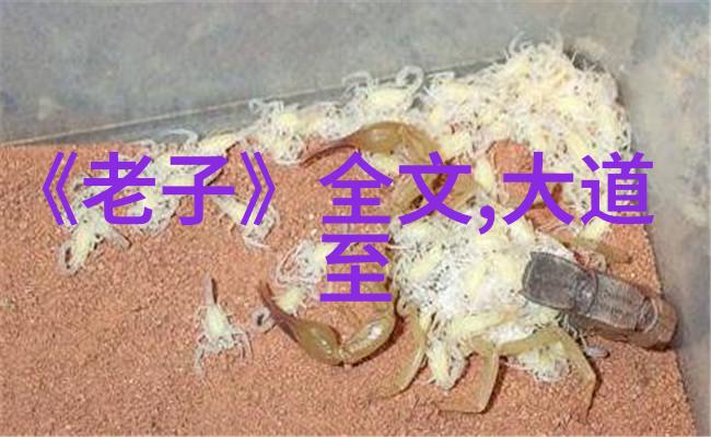 道家哲学的新篇章庄子之后的思想先贤探索
