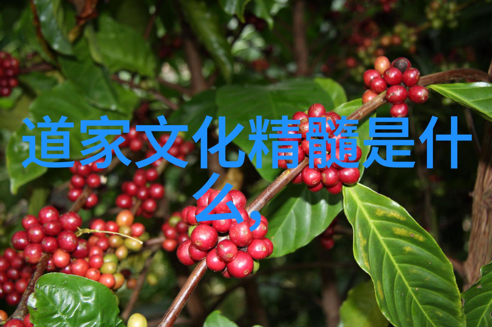 逆袭孕妃从恶毒女配到温柔皇后