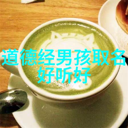历史道家代表人物我讲你听从庄子到王弼的智者们