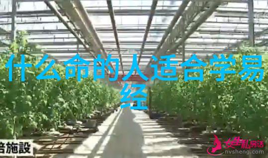 道教神仙黄庭立的修行之路