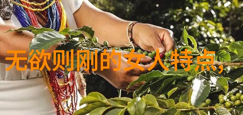 探索恶之根源从邪恶思想到人性的污染