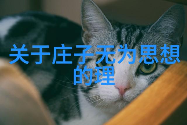 道教轮回观探索天人合一的生死转世