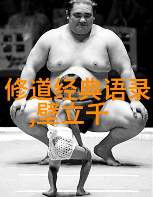且听凤吟之美妙旋律与深邃情感的交响