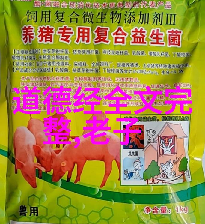 无为不成管理与效率的平衡