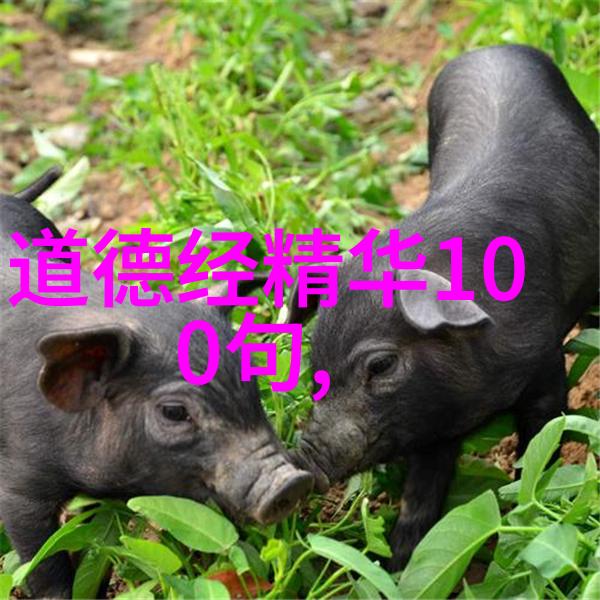 辩道论理如何巧妙驳斥道家哲学的误区