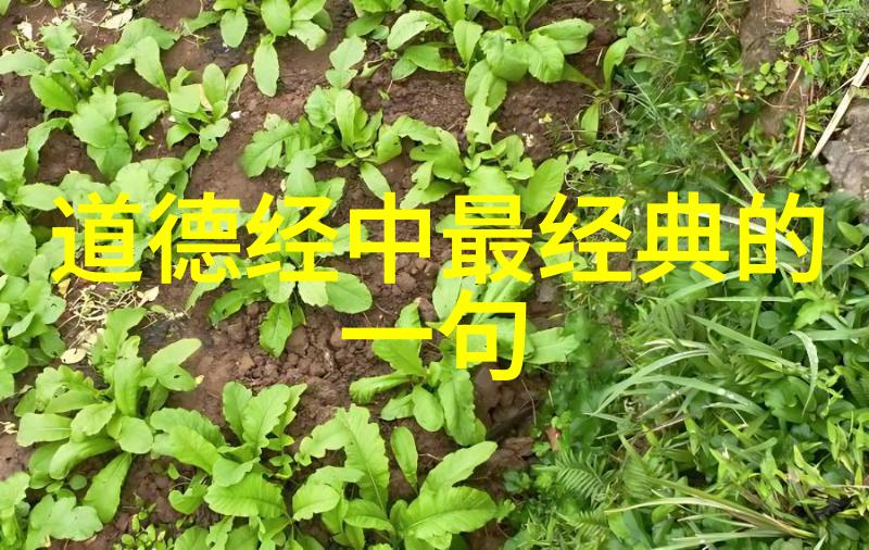 道德经之谜解开千古哲人的智慧密匙