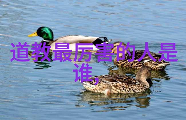 武侠与哲学探索-张三丰之谜道教创始人还是武当山祖师