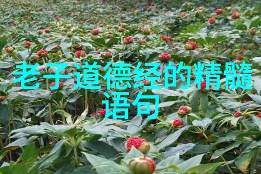 道法自然如何将道德经融入日常生活中