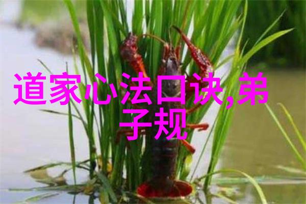 深藏玄机探究太上感应篇之禁忌
