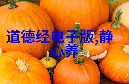 道家的为人处世之道-顺应天地和谐共生探索道家生活智慧
