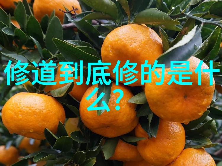 探索内心世界老子道德经读后感悟中的自我修养