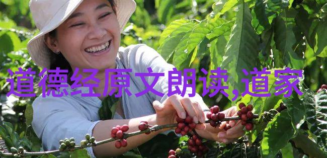 人生座右铭大道至简无欲则刚-精进之道探索大道至简无欲则刚的人生智慧