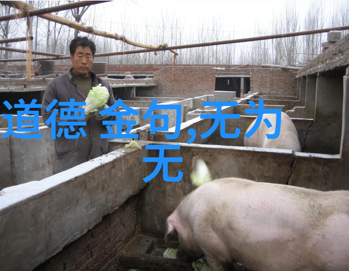 文艺探索-君子六艺书经数术射策御车书画易象的智慧之光