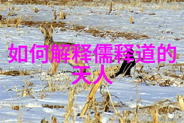道家历代智者探秘古今名士的故事与智慧