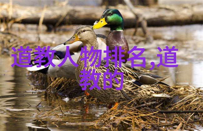 主题我眼中的届国展书法作品字体之美与情感的碰撞